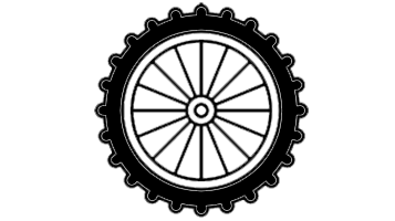 TRAIL+ Custom Wheel Build
